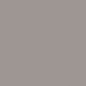 Линолеум FORBO Sarlon Colour 19dB 862T4319 stone grey uni фото ##numphoto## | FLOORDEALER